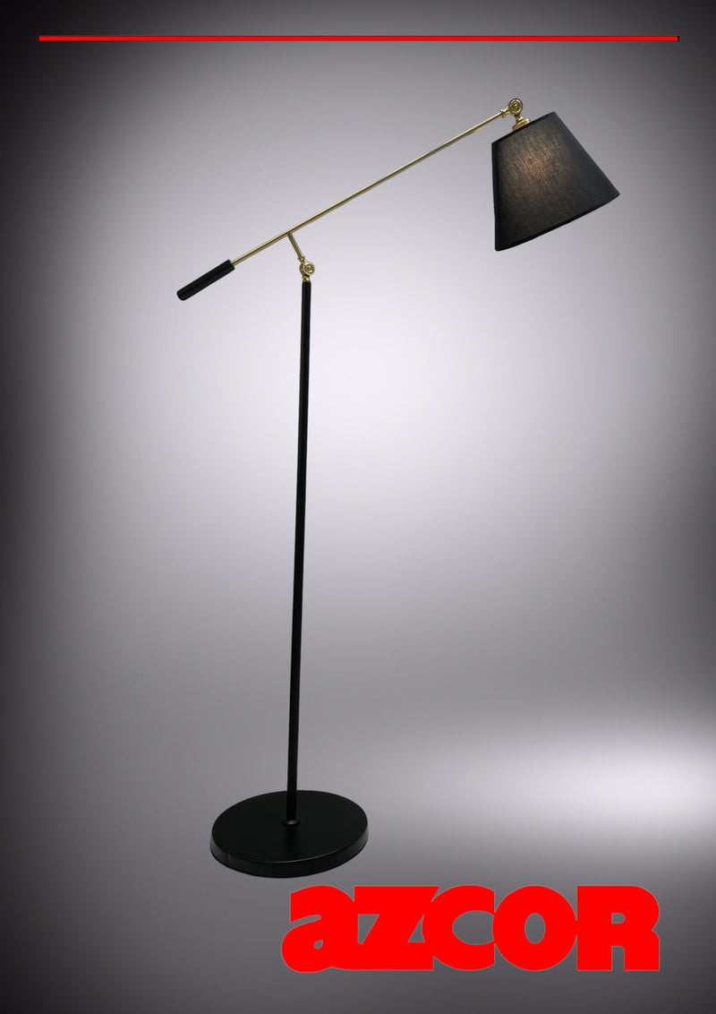 Black Shade Floor Lamp