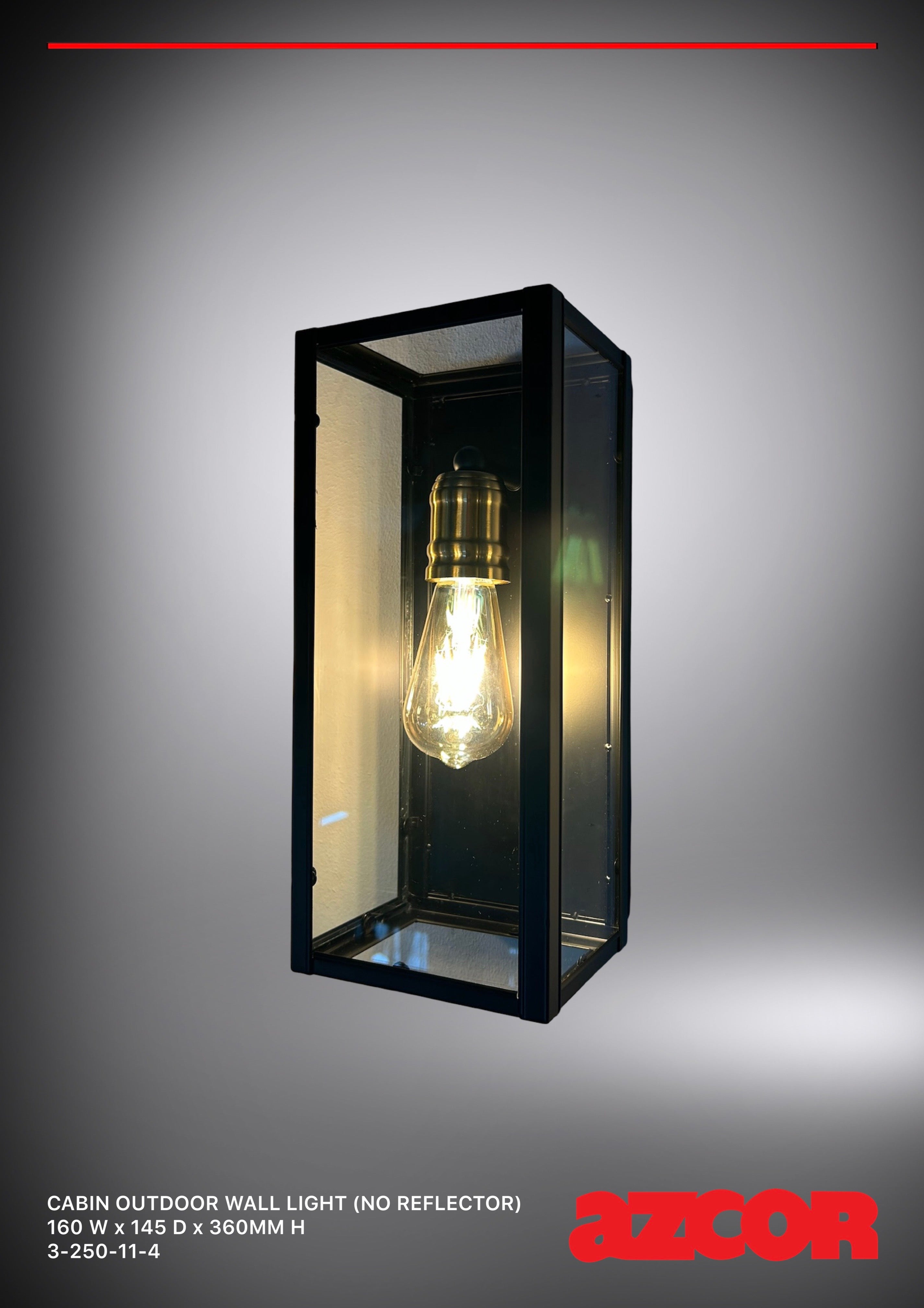 Cabin Outdoor Wall Light
