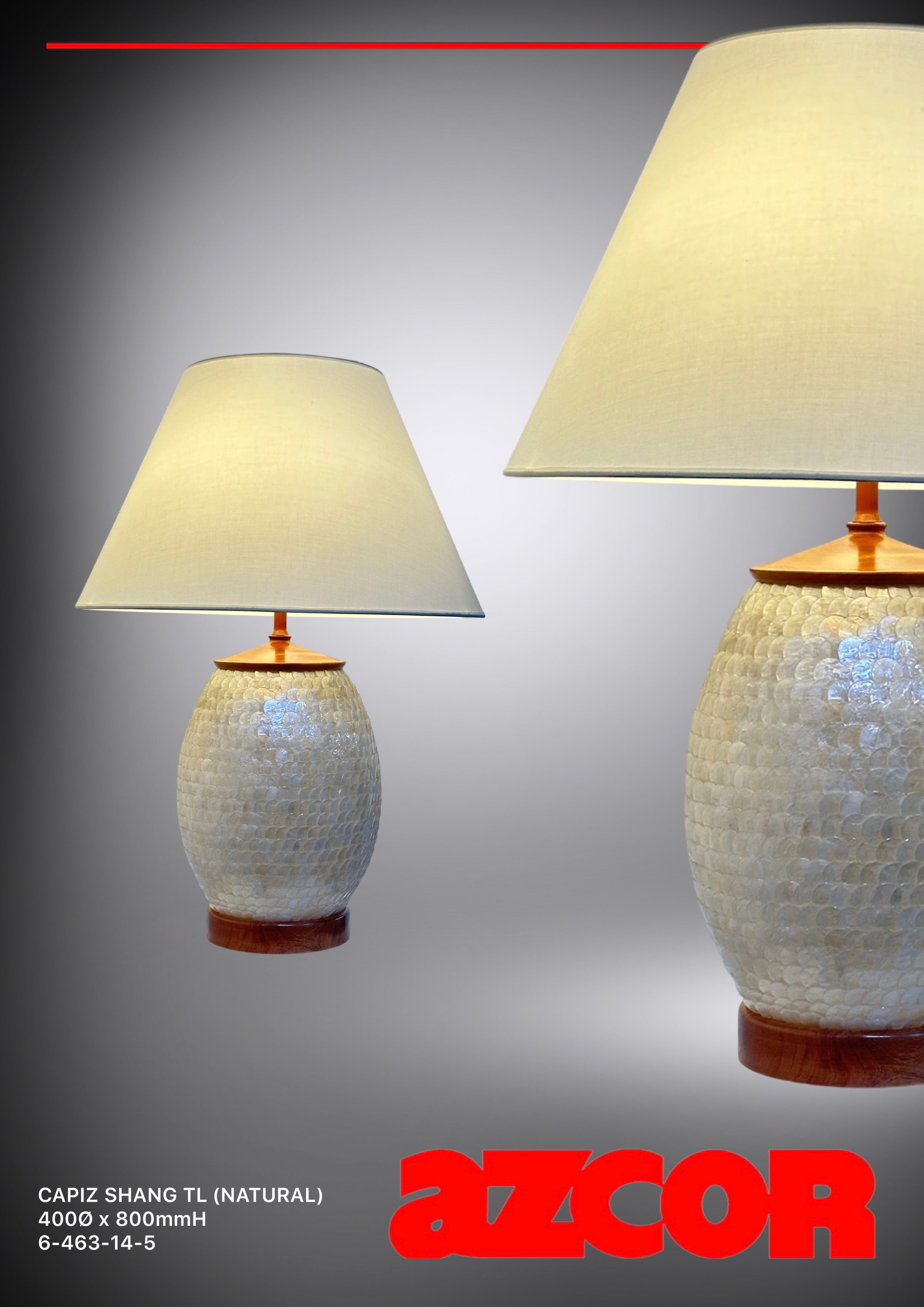 Capiz Shang Table Lamp