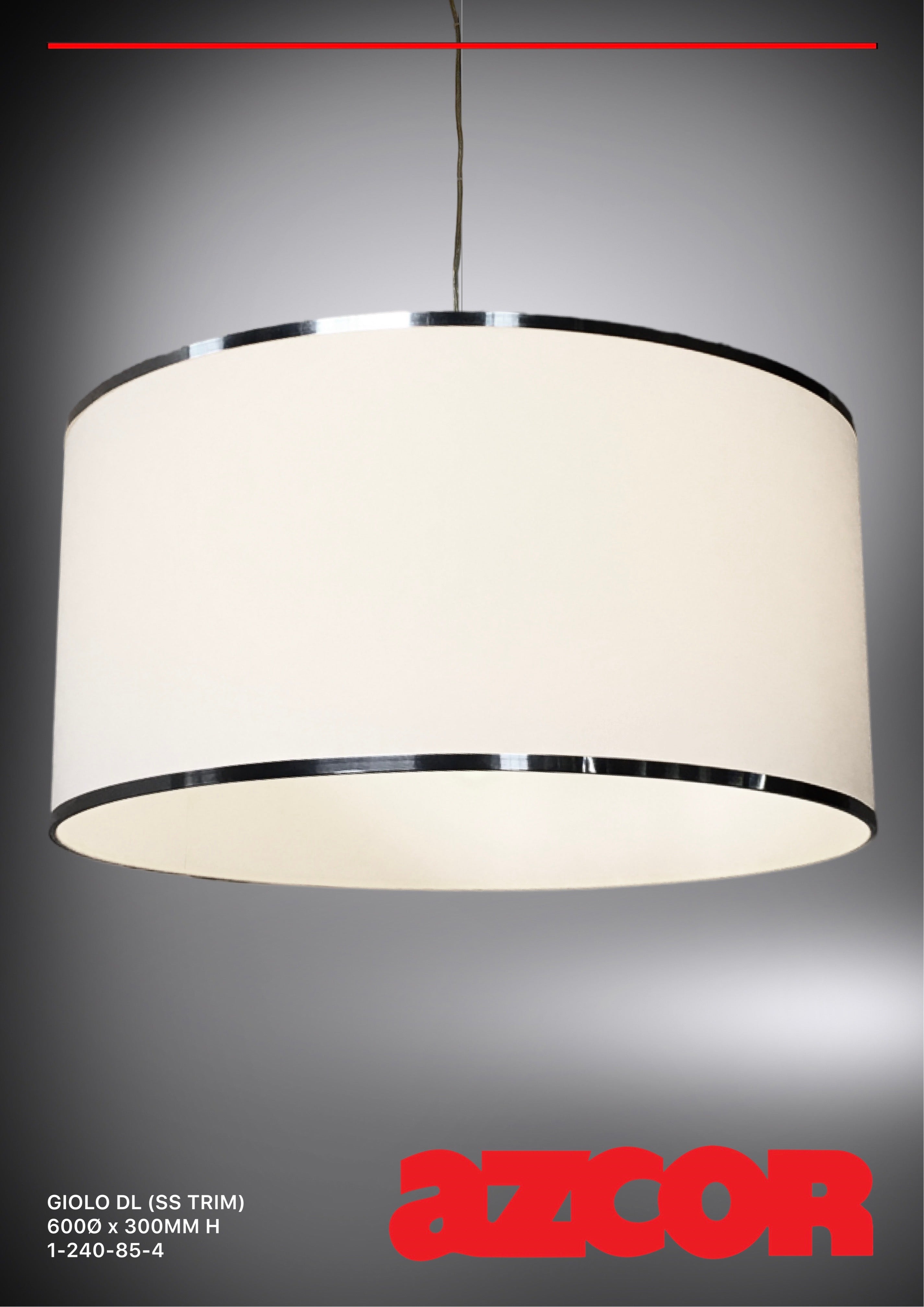 Giolo Drop Light with Stainless Steel Trim