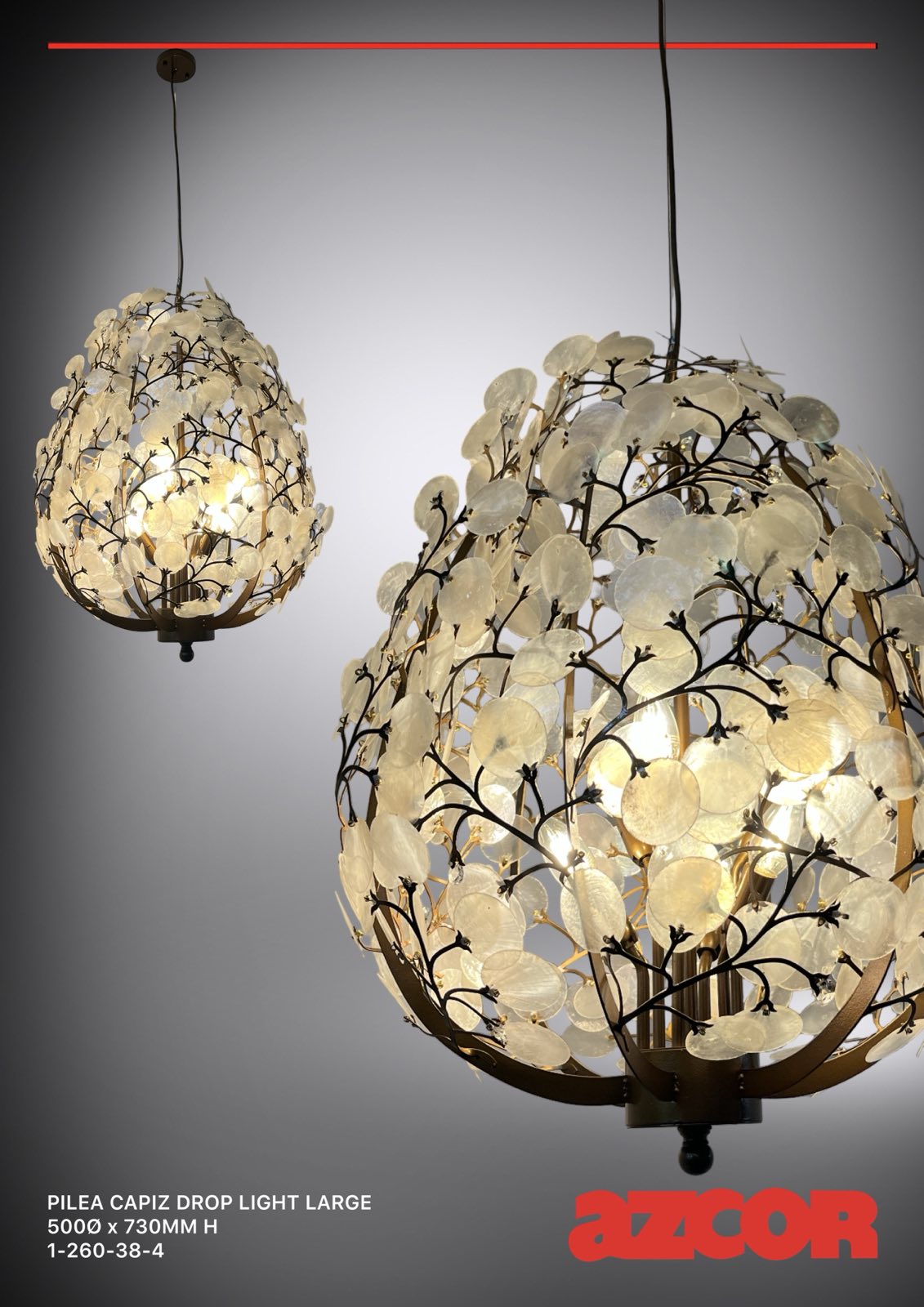 Pilea Capiz Drop Light Large