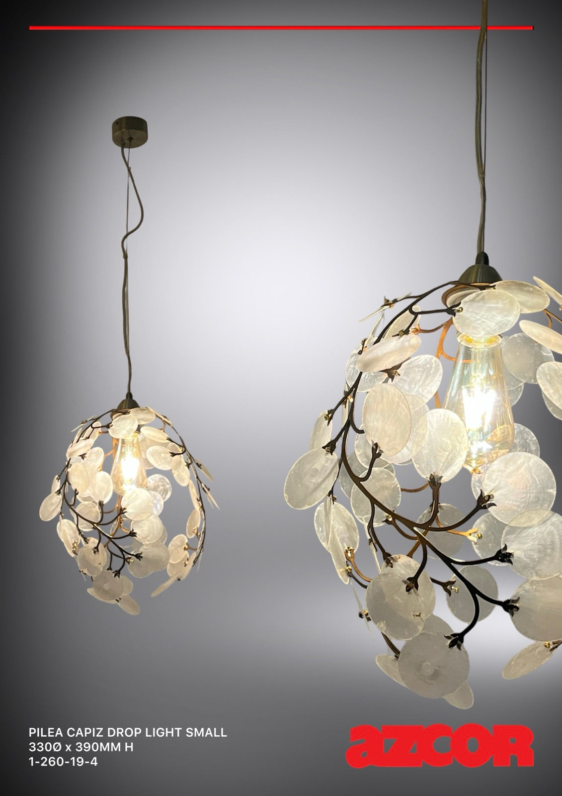 Pilea Capiz Drop Light  Small