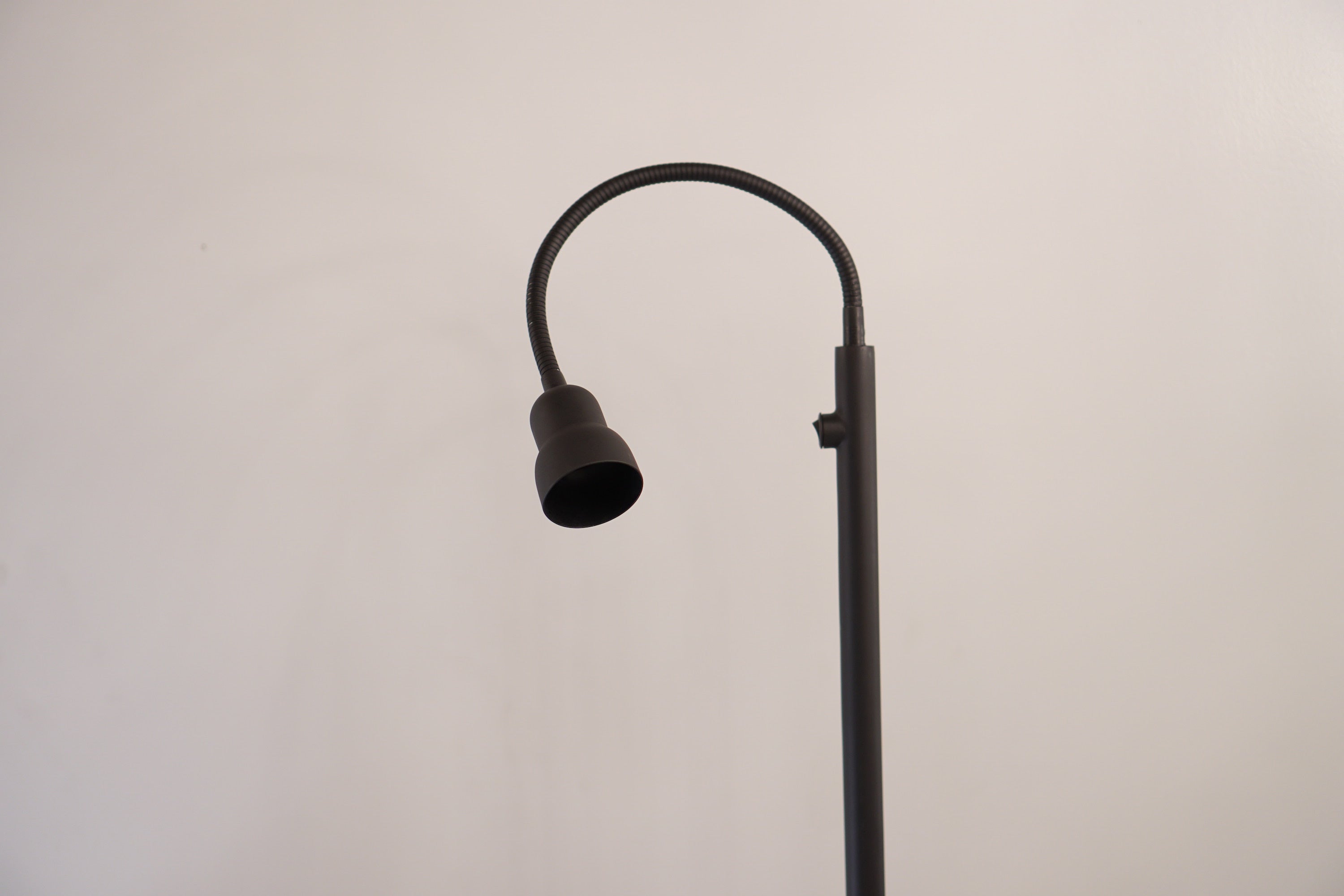 Gooseneck Floor Lamp